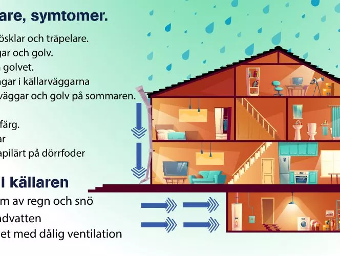 Fukt i källare