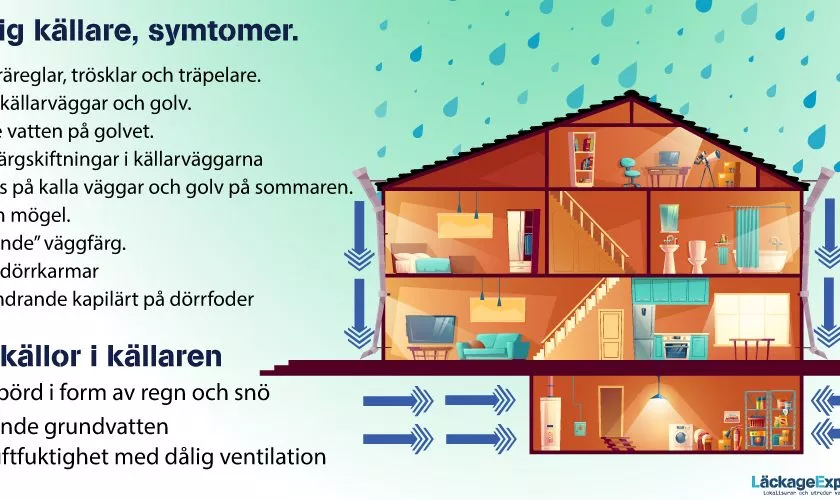 Fukt i källare