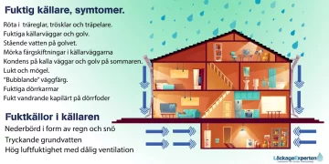 Fukt i källare