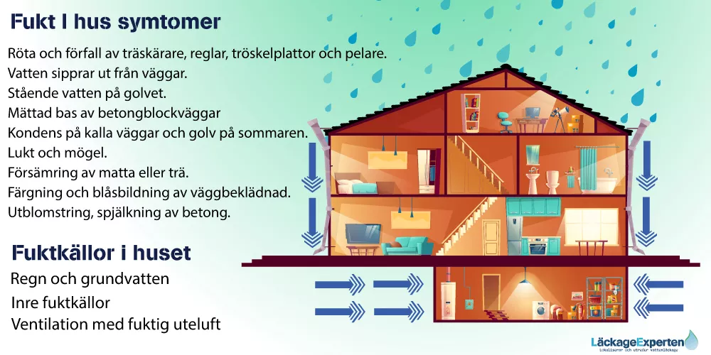 fukt i hus